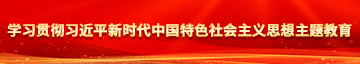 大鸡巴操视频学习贯彻习近平新时代中国特色社会主义思想主题教育